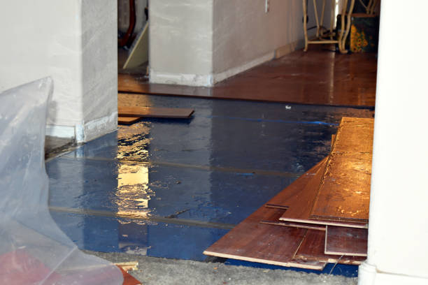 Professional Flood Cleanup technician working in Elwell, MI